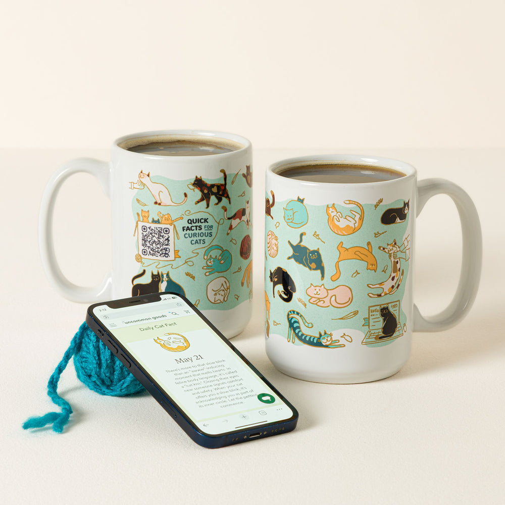 Cat Lover Interactive QR Mug